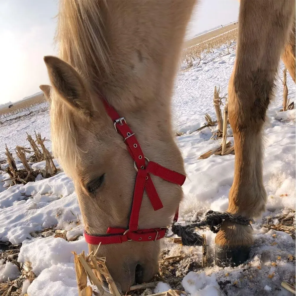 Adjustable Horse Halter, Equestrian Horse Riding Headcollar with Satin Hardware, Adjustable Fit,Small Medium Large Horse Halter