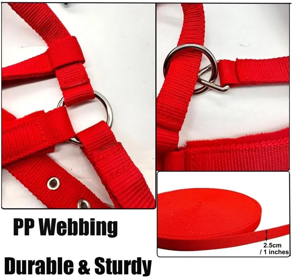 Adjustable Horse Halter, Equestrian Horse Riding Headcollar with Satin Hardware, Adjustable Fit,Small Medium Large Horse Halter