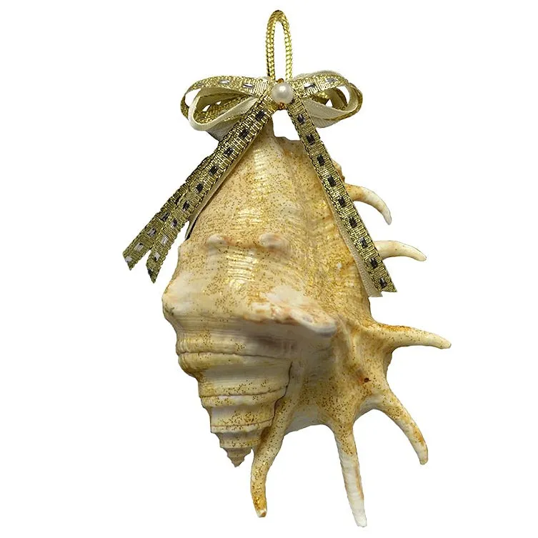 Natural Deep Sea Shells 12-Pc. Ornament Set
