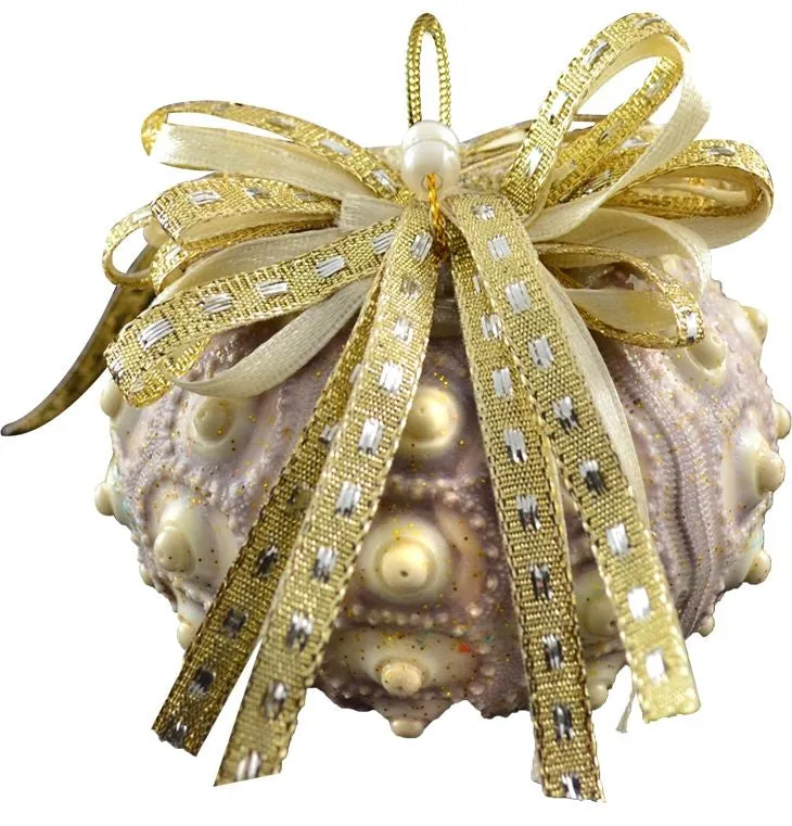 Natural Deep Sea Shells 12-Pc. Ornament Set