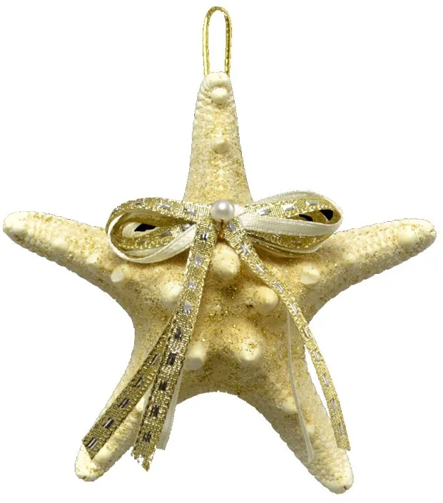Natural Deep Sea Shells 12-Pc. Ornament Set
