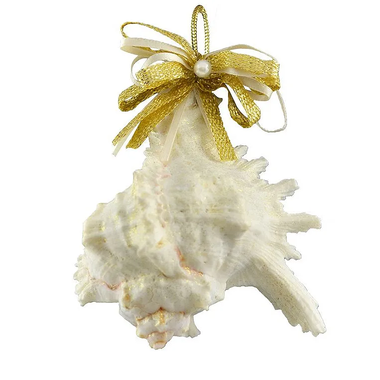 Natural Deep Sea Shells 12-Pc. Ornament Set